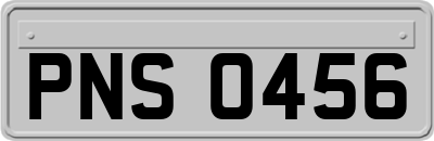PNS0456