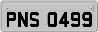 PNS0499