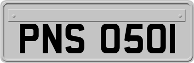 PNS0501