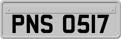 PNS0517