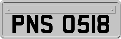 PNS0518