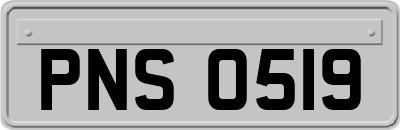 PNS0519