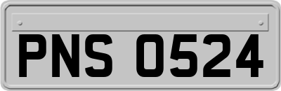 PNS0524