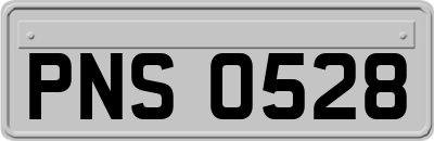 PNS0528