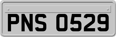 PNS0529
