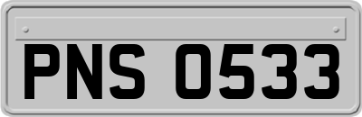PNS0533