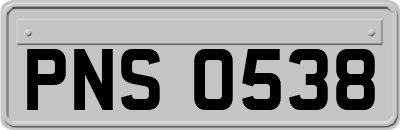 PNS0538