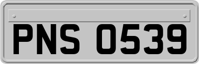 PNS0539