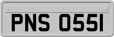 PNS0551