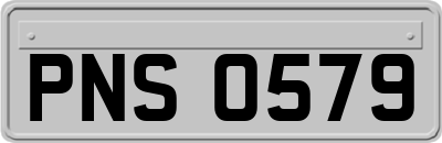 PNS0579
