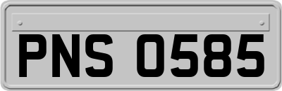 PNS0585