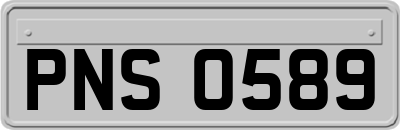 PNS0589