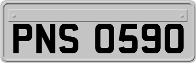 PNS0590
