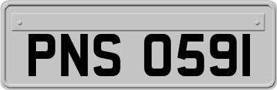 PNS0591