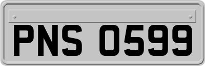 PNS0599