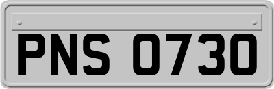 PNS0730