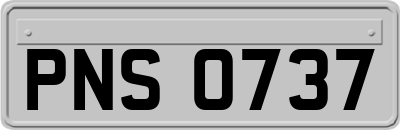 PNS0737