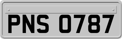 PNS0787