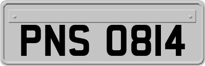 PNS0814