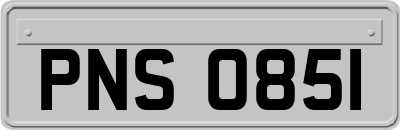 PNS0851