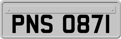 PNS0871