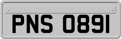 PNS0891