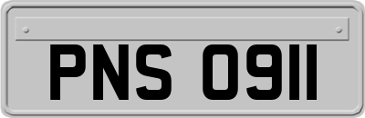 PNS0911