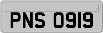 PNS0919