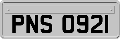 PNS0921