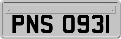 PNS0931