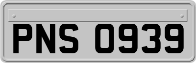 PNS0939