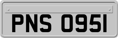 PNS0951