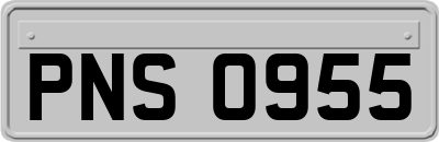 PNS0955