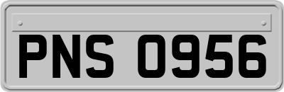 PNS0956