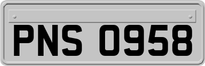 PNS0958