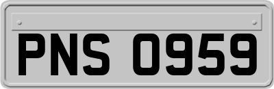PNS0959
