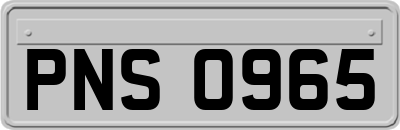 PNS0965