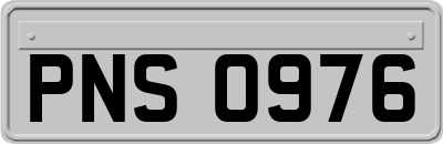 PNS0976