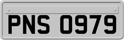 PNS0979