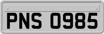 PNS0985