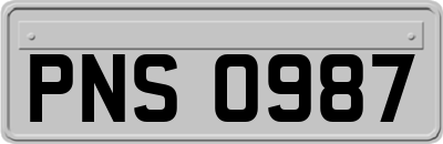PNS0987