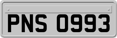 PNS0993