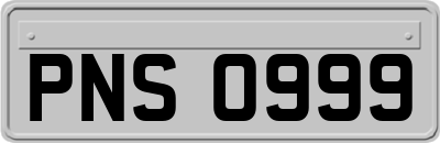 PNS0999
