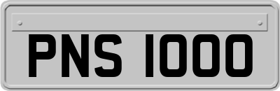 PNS1000