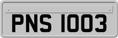 PNS1003