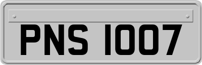 PNS1007