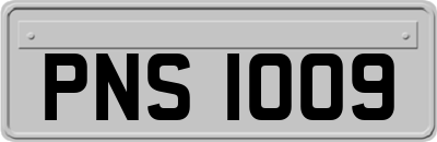 PNS1009