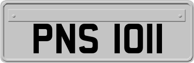 PNS1011