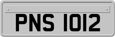 PNS1012