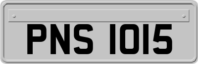 PNS1015